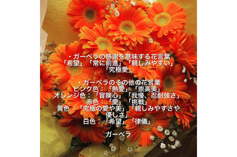 F462415D-1A9D-479E-90AE-223551C78C44