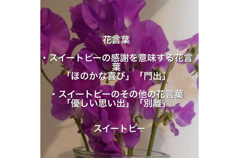12B9C5A2-4405-4413-9EAD-03BD5AA6C0F8