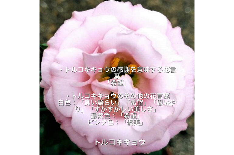 304EDEA4-1329-4B9C-B510-E0647C12EE5A