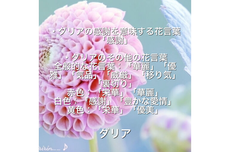 587F450F-23FC-473D-BA7B-6C168537A89E