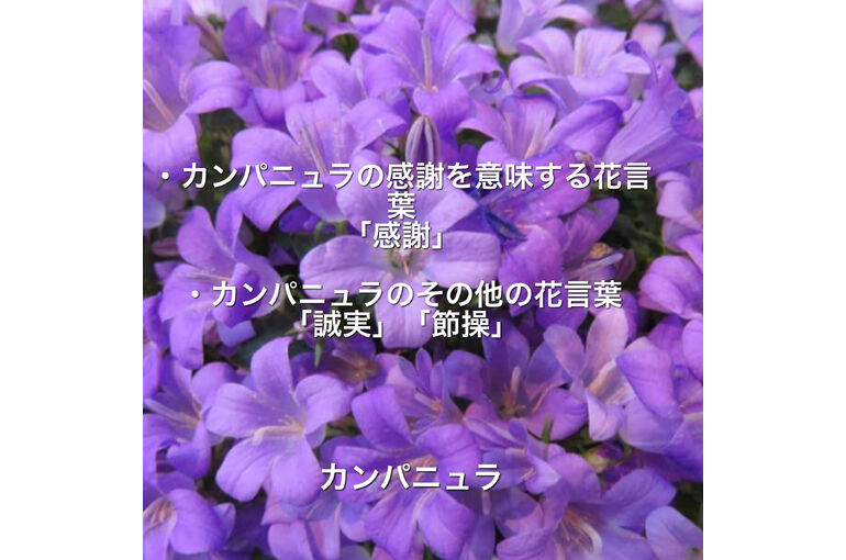 8D26042C-1FCC-4F76-B4CB-7AFAB61617F2