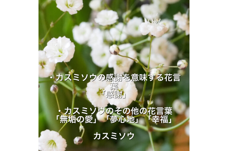 AE883126-6D74-4151-A822-2C0AF3BFFD85