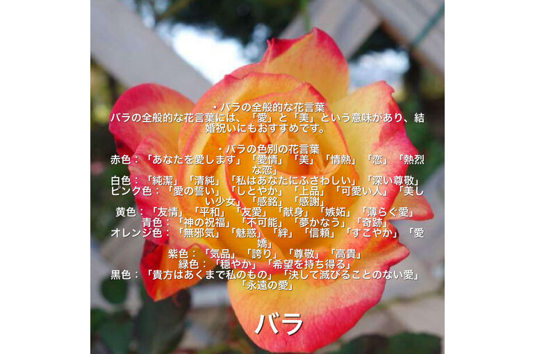 91F59878-2828-440D-B28E-6A2EF081F8D0