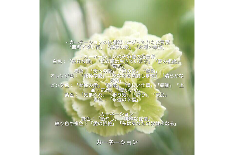E678505C-A1BA-466B-86B1-ADBCE8777C1F