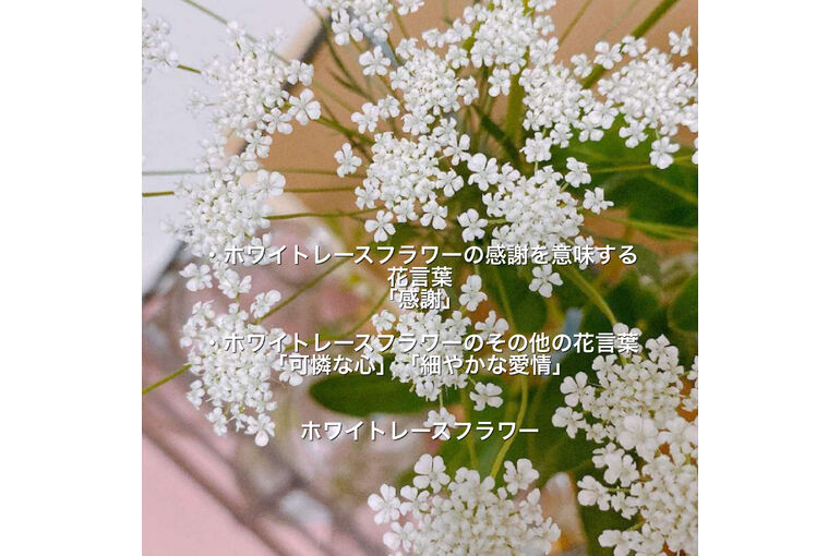 CB0B5207-3CA2-46B7-AD1C-F35105694390