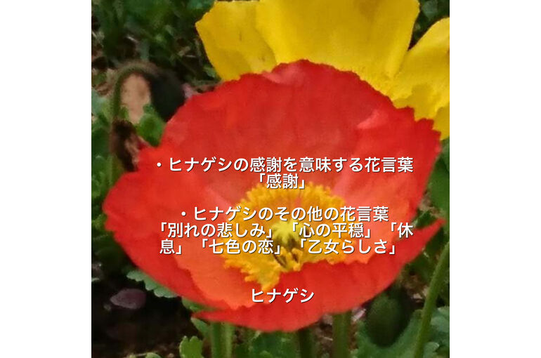 4B68D33D-C4AE-4EAC-9762-C8E67BD5F042