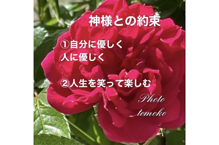 34E353F1-44D4-44BD-BC2C-4CC54D5E357E