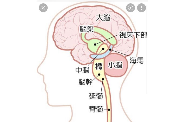E78DE825-DCF6-4B66-B179-8C3445068BAF