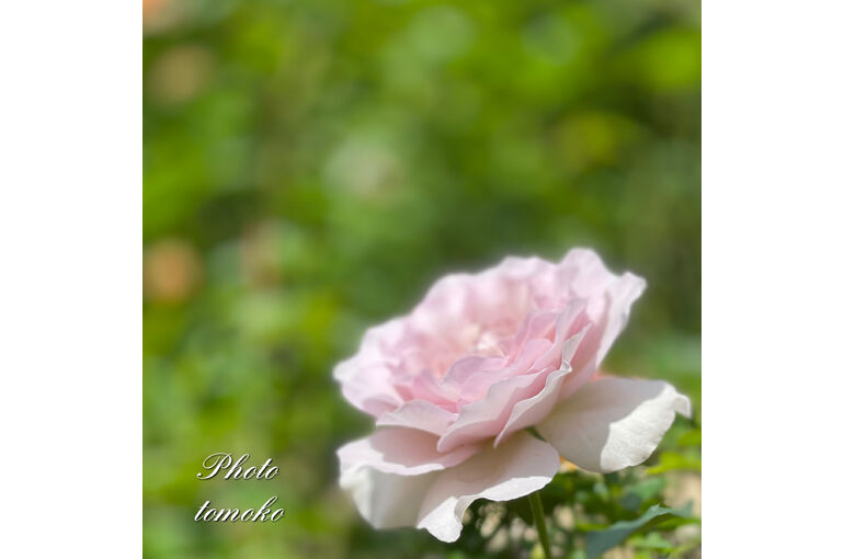 D6371744-B300-483E-819E-C9AB3649ACD6