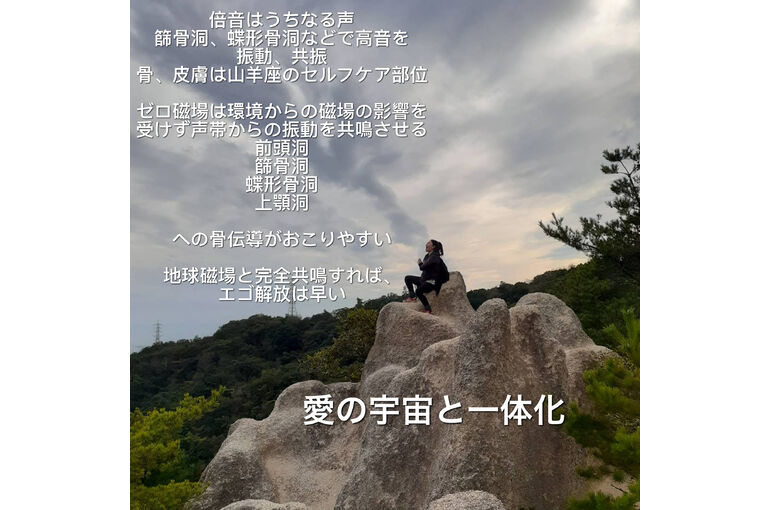 D462EA2D-F20D-409B-9263-251FA25FDC02