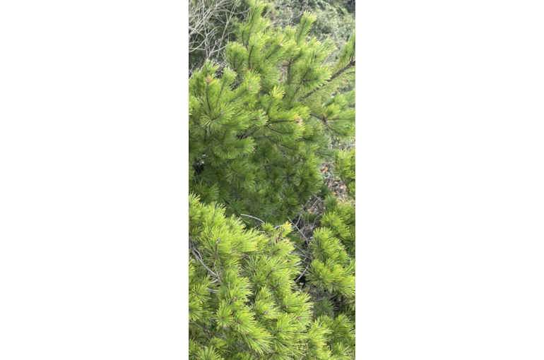 E61DF7C4-ABD8-4BE7-AE65-40D683DDA88C