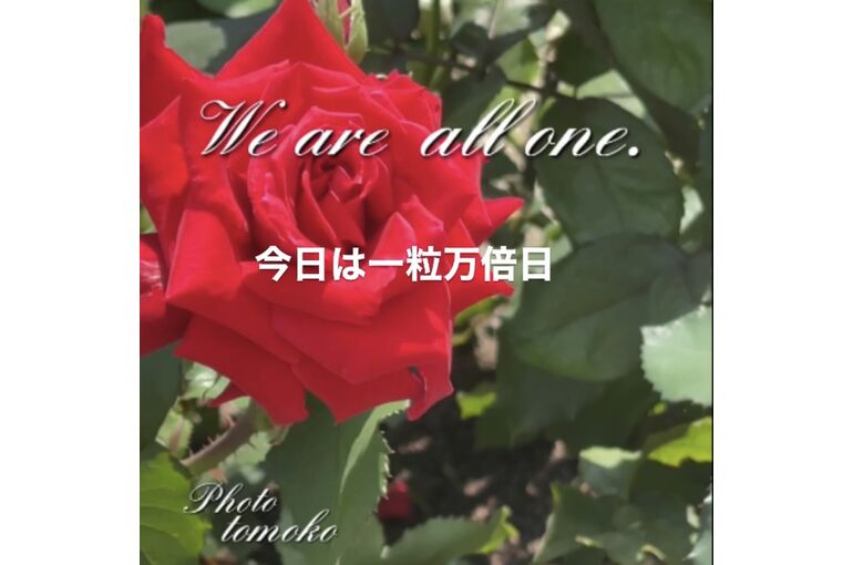 76CF9356-9784-4ABC-BB96-3D8EF21022A7
