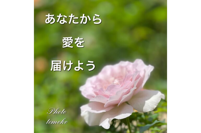56E00725-C4D6-4E87-8C79-71DD6F487881