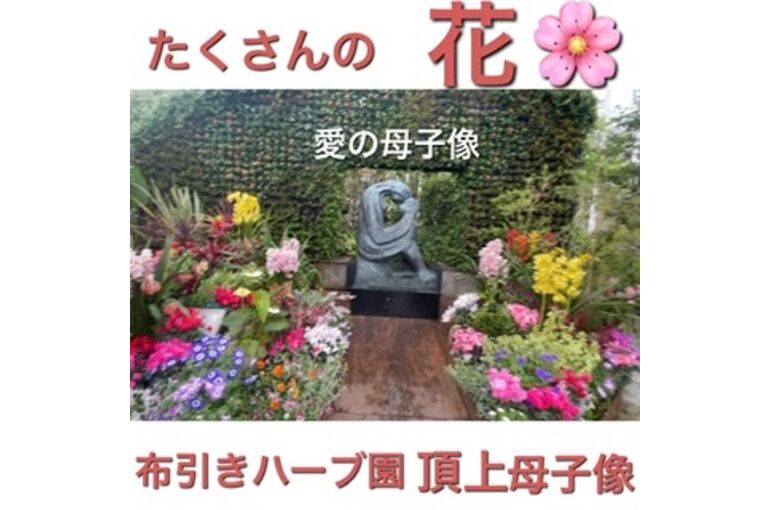 91DE1558-74F0-4D95-A09F-20362C79DD7A