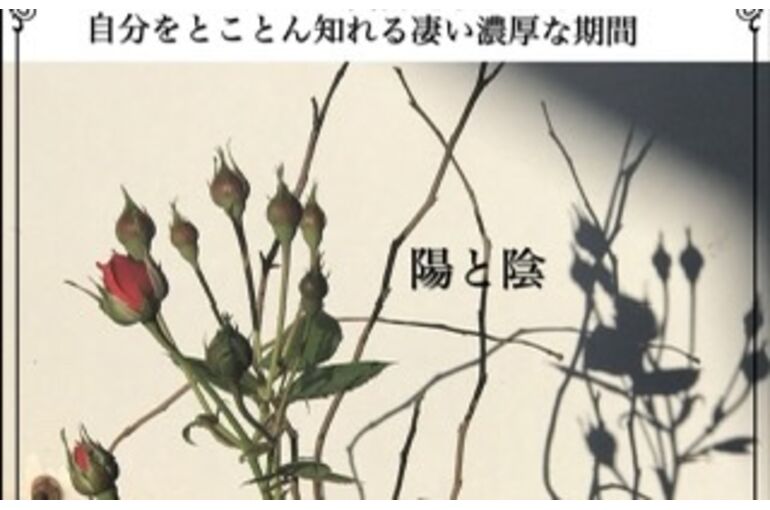56C6ED0B-02E7-43CD-9B0A-6D15F18BB087