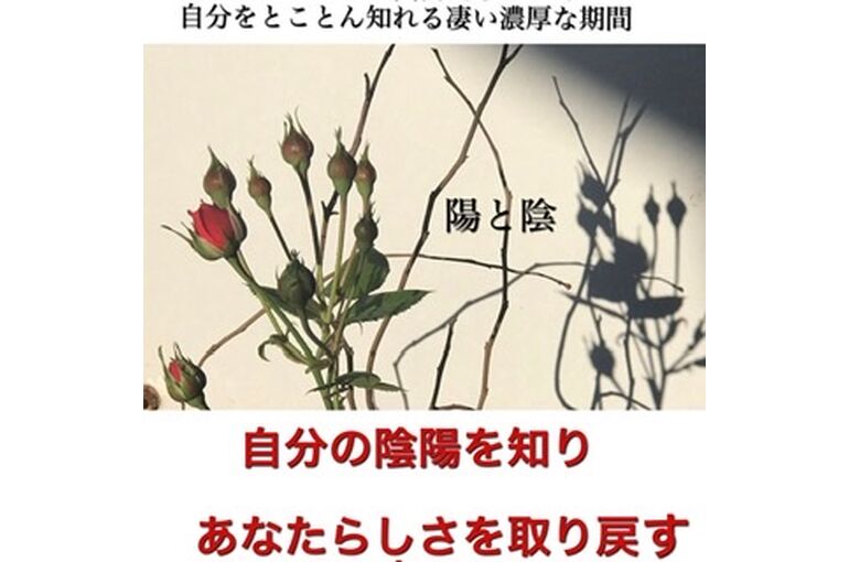 3C1DF8CF-7058-42AF-B06E-29EA74C6E2E3