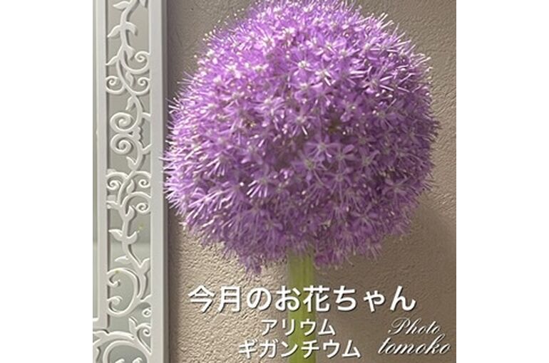 06A08C6C-157A-46A2-A182-2A54969C80BE