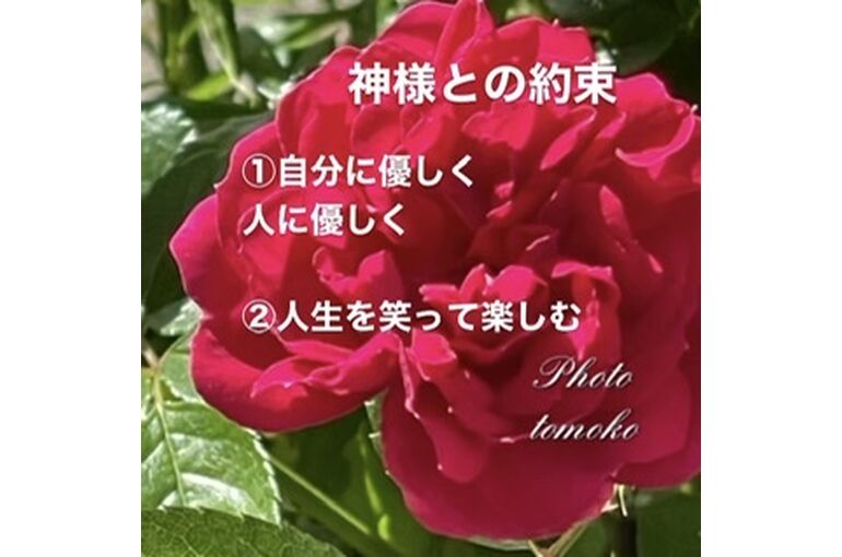 CF0A6015-D715-4029-985F-FB5E691C96C7