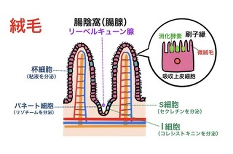 DB5D047C-F981-4321-BCA9-E18CDE3199A7