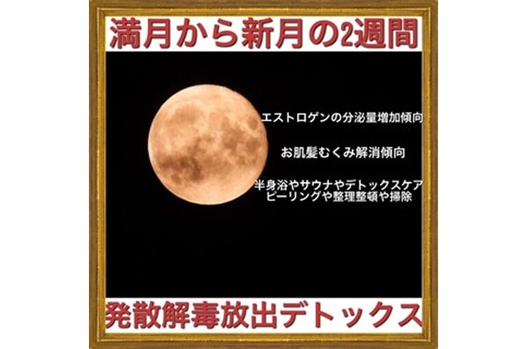 286B8F3F-E244-485A-93C4-493FA4473958