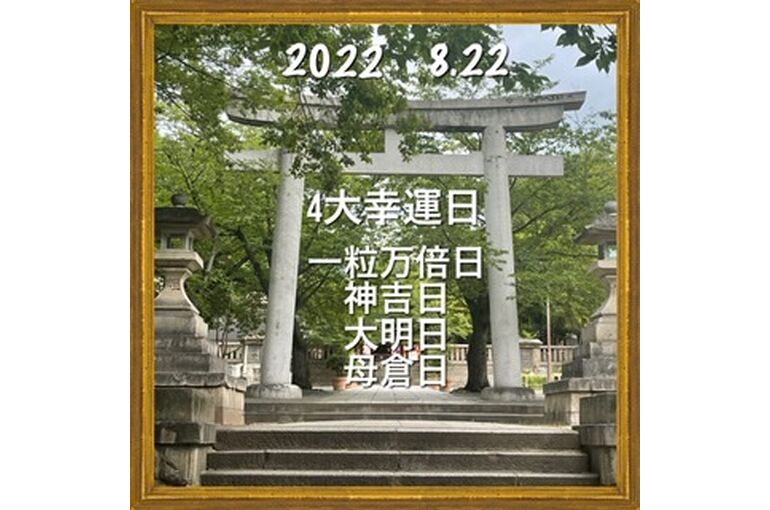9384C0F1-C89E-4CE9-8412-F51544628B16