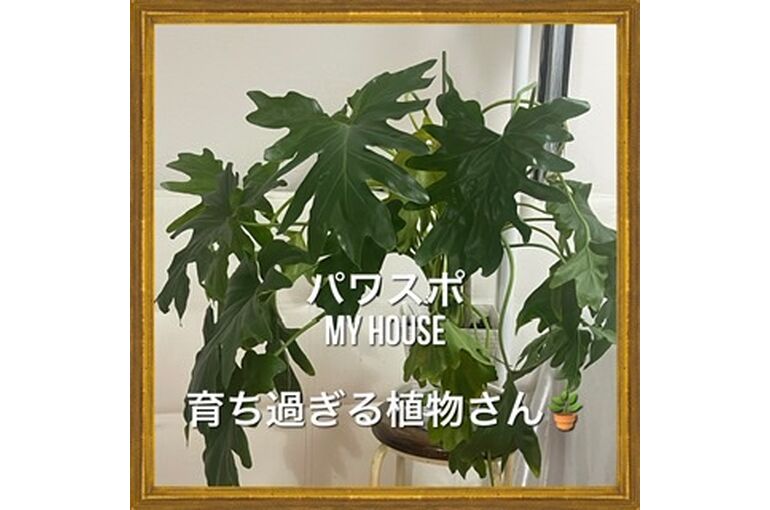 32A0B32B-D665-494E-A9EF-6B47F86BBD80