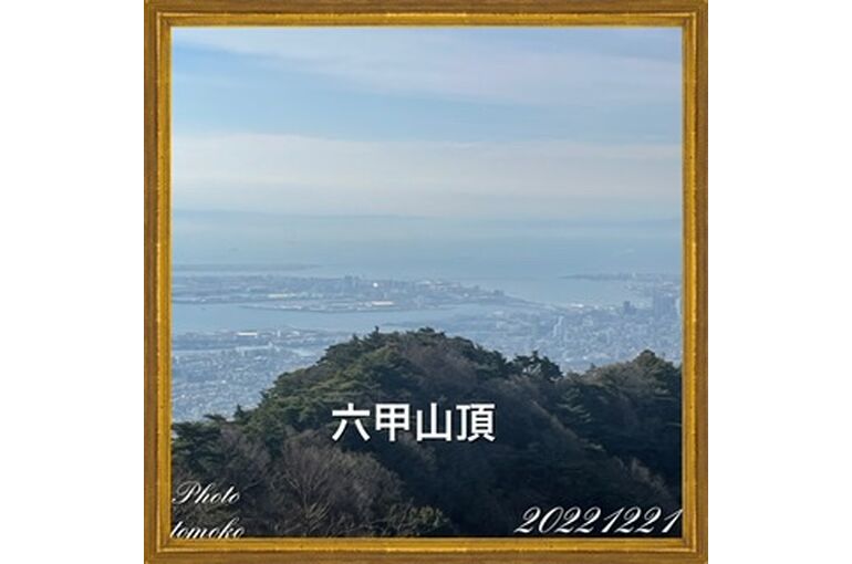 1538D19F-C297-403C-9DD8-9B1E12EC519C