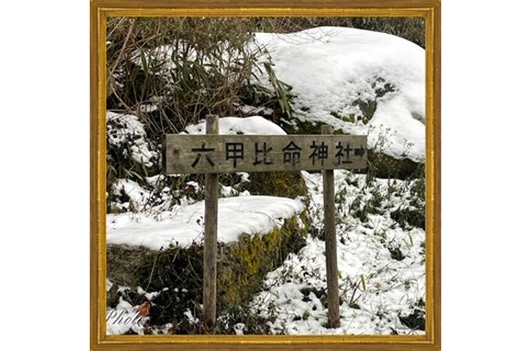 46BDD36F-5597-4314-B1B6-E5A42AC8E032