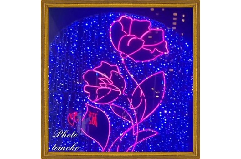 480DF7AE-9849-429F-BD5E-4FC5ACA8A8E5