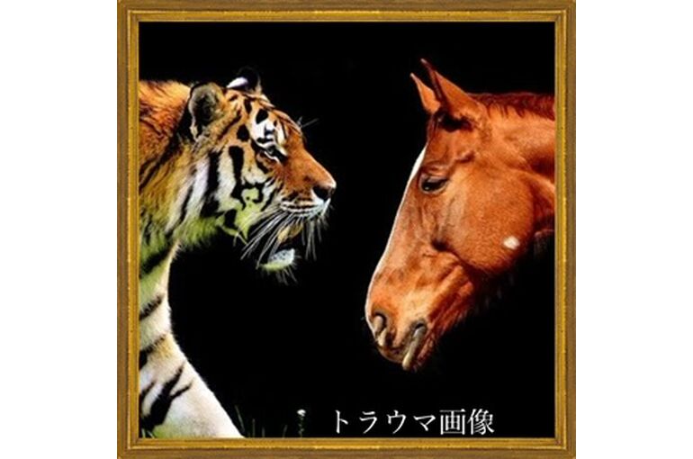 736A1CBC-737A-41E4-B9B2-9C683A5DC78E