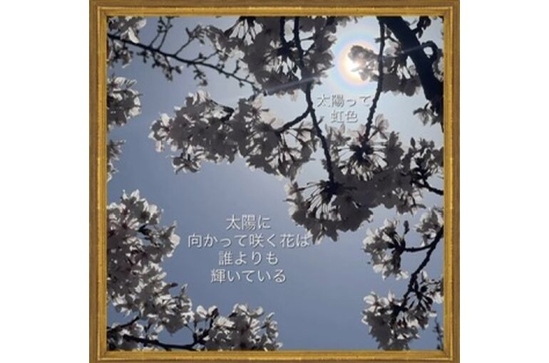 E8C5EDD1-3179-4E50-968C-48352CE8F734
