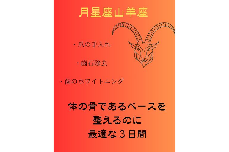 画像 9