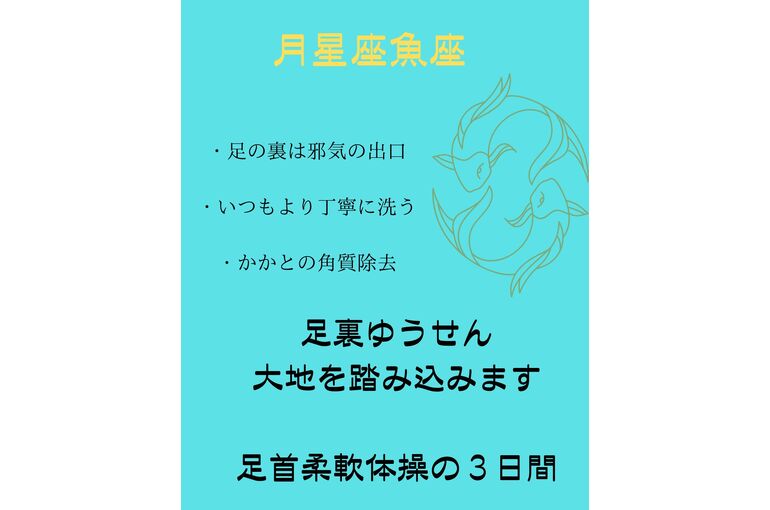 画像 12